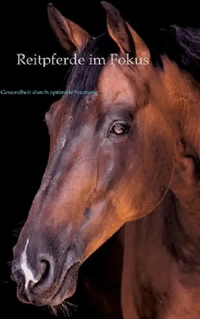 Reitpferde im Fokus: Gesundheit durch optimale Nutzung by Oliver Rudolph