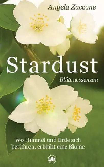 Stardust by Angela Zaccone