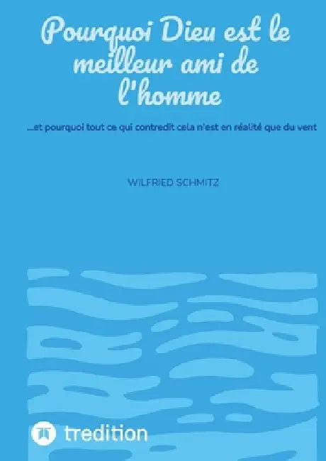 Pourquoi Dieu est le meilleur ami de l'homme: ...et pourquoi tout ce qui contredit cela n'est en réalité que du vent by Wilfried Schmitz