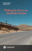 Waking Up From An American Dream by Ellias Aghili Dehnavi, Hossein Daheshiar, Marzieh Iranpour