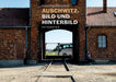 Auschwitz. Bild Und Hinterbild: Fotografien by Frédéric Mougenot