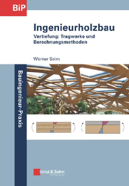 Ingenieurholzbau by Werner Seim