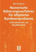 Numerische Näherungsverfahren Für Elliptische Randwertprobleme: Finite Elemente Und Randelemente by Olaf Steinbach