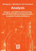 Analysis: Integral- Und Differentialrechnung, Gewöhnliche Differentialgleichungen, Komplexe Funktionentheorie by Wolfgang L. Wendland, Olaf Steinbach