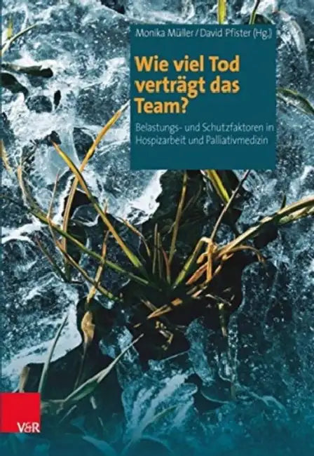 Wie Viel Tod Vertragt Das Team?: Belastungs- Und Schutzfaktoren in Hospizarbeit Und Palliativmedizin by Monika Muller, David Pfister