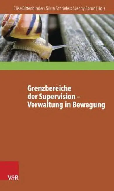 Grenzbereiche Der Supervision - Verwaltung in Bewegung by Jenny Baron, Elise Bittenbinder, Silvia Schriefers