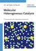 Molecular Heterogeneous Catalysis: A Conceptual and Computational Approach by Rutger A. van Santen, Matthew Neurock