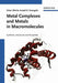Metal Complexes and Metals in Macromolecules: Synthesis, Structure and Properties by Dieter W&ouml;hrle, Anatolii D. Pomogailo