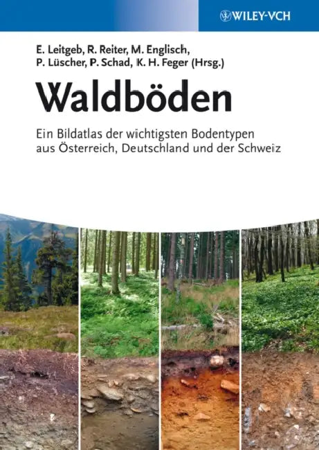 Waldb den by Ernst Leitgeb