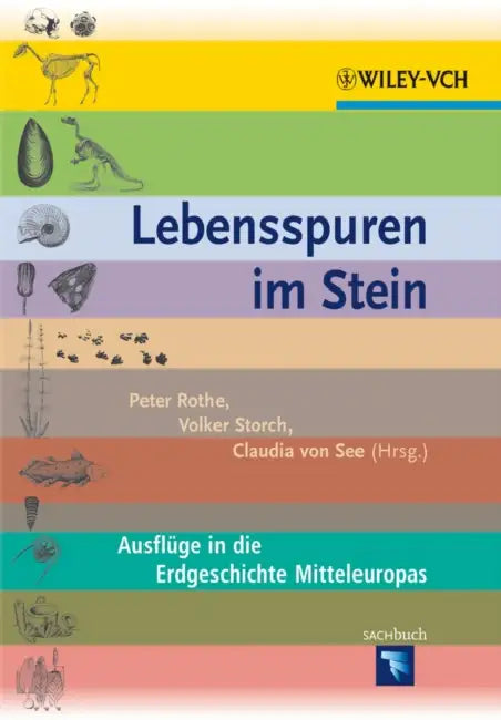 Lebensspuren im Stein by Peter Rothe