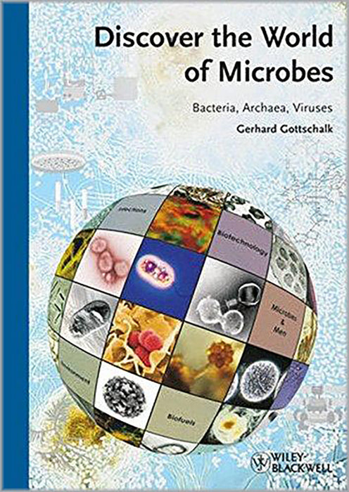 Discover The World Of Microbes