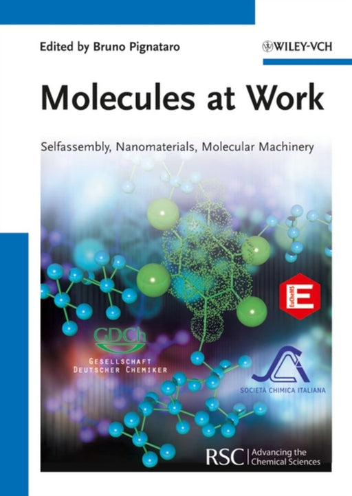 Molecules At Work: Selfassembly, Nanomaterials, Molecular Machinery by Bruno Pignataro