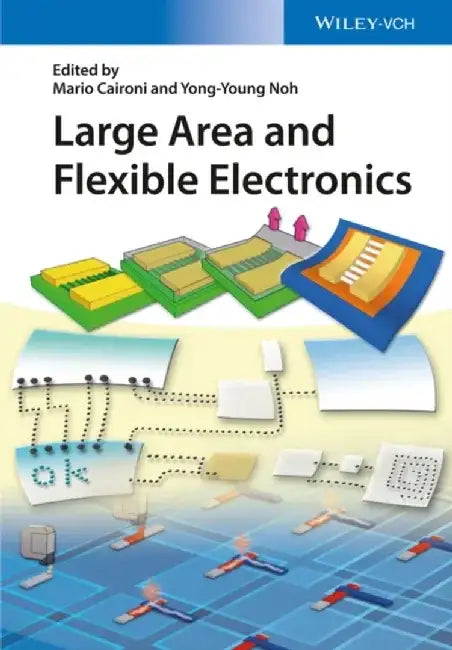 Large Area and Flexible Electronics by Mario Caironi