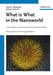 What Is What in the Nanoworld: A Handbook on Nanoscience and Nanotechnology by Victor E. Borisenko