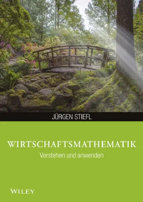 Wirtschaftsmathematik anwenden und verstehen by Jürgen Stiefl