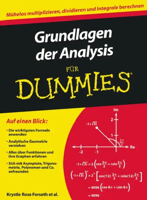 Grundlagen der Analysis für Dummies by Krystle Rose Forseth