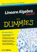 Lineare Algebra kompakt für Dummies by Ernst Georg Haffner