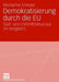 Demokratisierung Durch Die EU: Süd- Und Ostmitteleuropa Im Vergleich by Marianne Kneuser