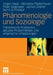 Phänomenologie Und Soziologie: Theoretische Positionen, Aktuelle Problemfelder Und Empirische Umsetzungen by Jürgen Raab, Michaela Pfadenhauer, Peter Stegmaier
