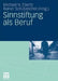Sinnstiftung ALS Beruf by Michael Ebertz, Rainer Schützeichel