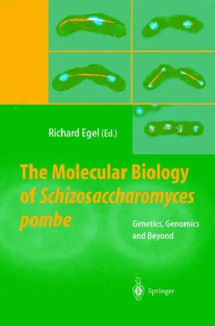 The Molecular Biology of Schizosaccharomyces pombe: Genetics, Genomics and Beyond by Richard Egel
