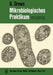 Mikrobiologisches Praktikum by G. Drews
