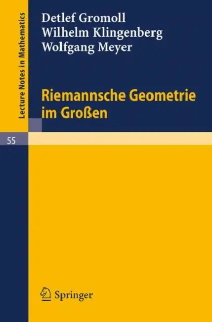Riemannsche Geometrie Im Großen by Detlef Gromoll, Wilhelm Klingenberg, Wolfgang Meyer