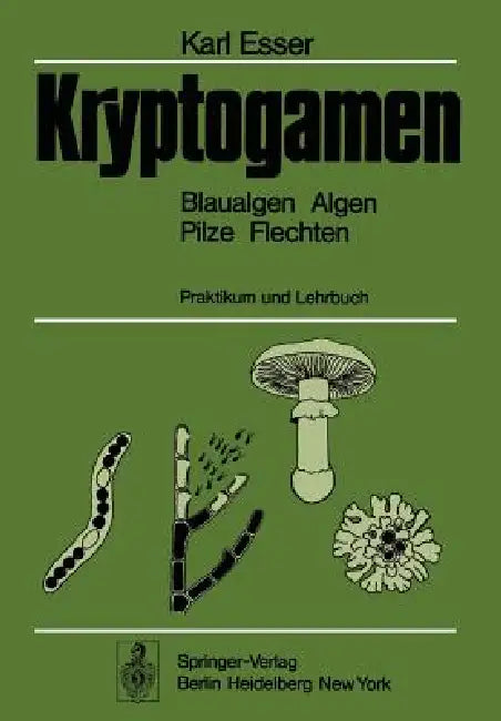Kryptogamen: Blaualgen Algen Pilze Flechten, Praktikum Und Lehrbuch by Karl Esser, Hans-J Rathke, Dieter Graw