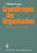 Grundfragen Der Organisation: Delegation, Anreiz Und Kontrolle by H. Laux