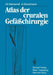 Atlas Der Cruralen Gefäßchirurgie by Christina Behrendt, H. Heidrich, Lutz Öehring