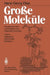 Große Moleküle: Plaudereien Über Synthetische Und Natürliche Polymere by Hans-Georg Elias