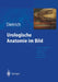 Urologische Anatomie Im Bild: Von Der K Nstlerisch-Anatomischen Abbildung Zu Den Ersten Operationen by Holger G. Dietrich