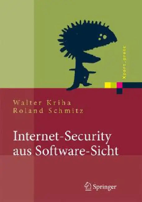 Internet-Security Aus Software-Sicht: Grundlagen Der Software-Erstellung Für Sicherheitskritische Bereiche by Walter Kriha, Roland Schmitz