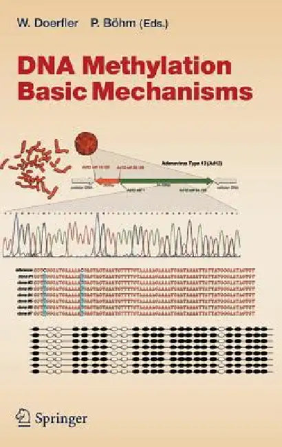DNA Methylation: Basic Mechanisms by Walter Doerfler, Petra Böhm