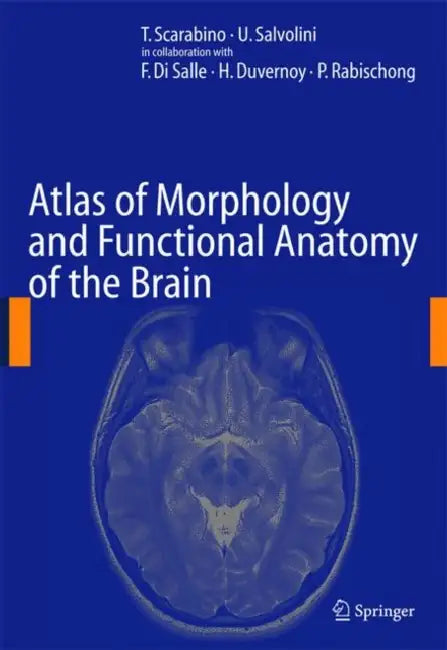 Atlas of Morphology and Functional Anatomy of the Brain by T. Scarabino