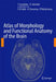 Atlas of Morphology and Functional Anatomy of the Brain by T. Scarabino