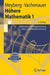 Höhere Mathematik 1: Differential- Und Integralrechnung Vektor- Und Matrizenrechnung by Kurt Meyberg, Peter Vachenauer