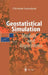 Geostatistical Simulation: Models and Algorithms by Christian Lantuejoul
