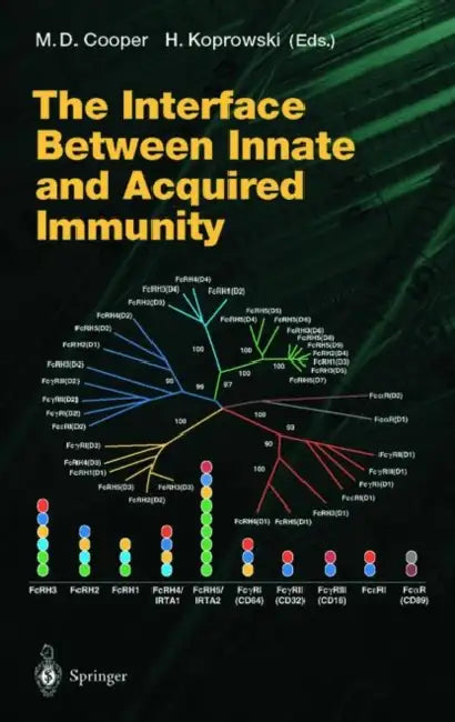 The Interface Between Innate and Acquired Immunity by M. D. Cooper
