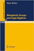 Metaplectic Groups And Segal Algebras  (Vol. 1382) by Hans Reiter