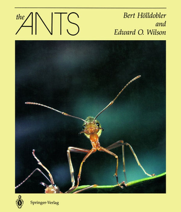 The Ants by Bert Hölldobler