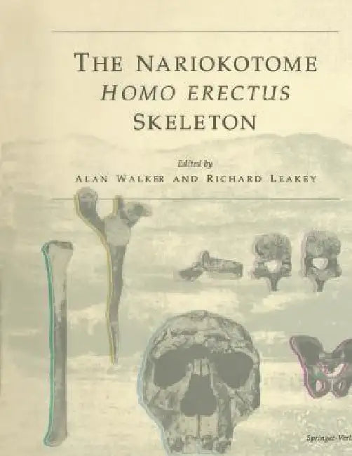 The Nariokotome Homo Erectus Skeleton by Alan Walker, Richard Leakey