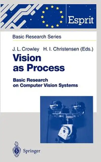 Vision as Process by A. Chehikian
