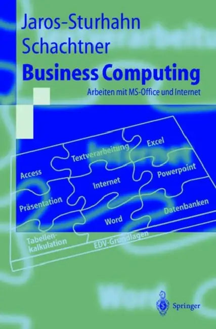 Business Computing: Arbeiten Mit Ms-Office Und Internet by Anke Jaros-Sturhahn, Konrad Schachtner