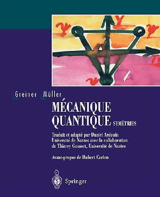 Mécanique Quantique. Symétries by Walter Greiner, H. Curien, D. Ardouin