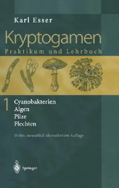 Kryptogamen 1: Cyanobakterien Algen Pilze Flechten Praktikum Und Lehrbuch by Karl Esser, H. -J Rathke, K. Esser