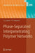 Phase-Separated Interpenetrating Polymer Networks by Yuri S. Lipatov