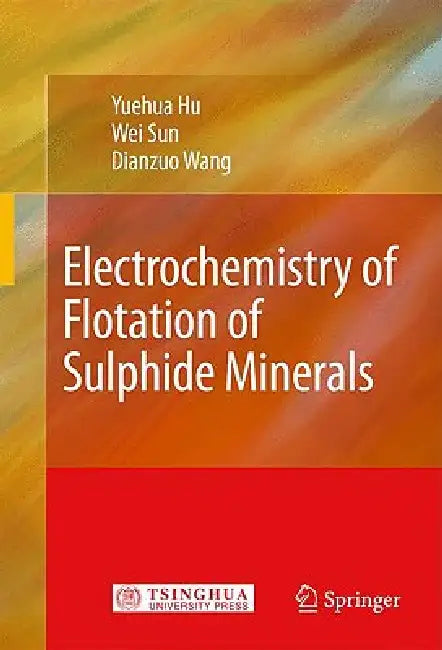 Electrochemistry of Flotation of Sulphide Minerals by Yuehua Hu, Wei Sun, Dianzuo Wang