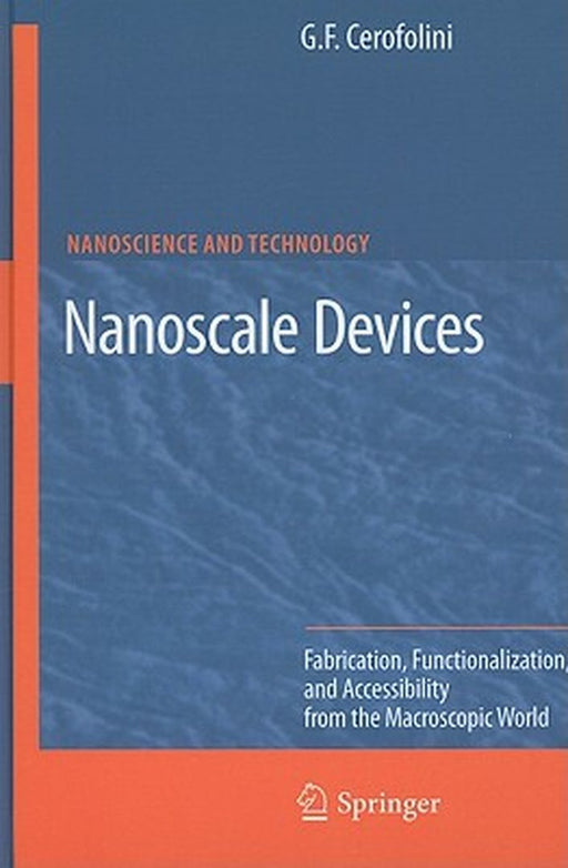 Nanoscale Devices: Fabrication, Functionalization, and Accessibility From the Macroscopic World by Gianfranco Cerofolini