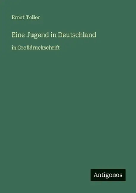 Eine Jugend in Deutschland: in Großdruckschrift by Ernst Toller